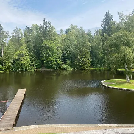 Waldseechalet Traumhafter Waldseeblick - Grosszuegige - Infrarotsauna * Hasselfelde